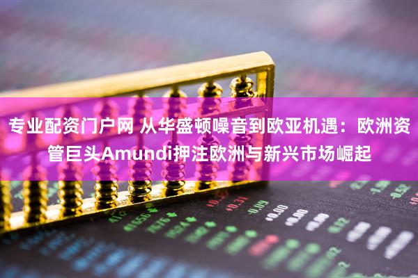 专业配资门户网 从华盛顿噪音到欧亚机遇：欧洲资管巨头Amundi押注欧洲与新兴市场崛起