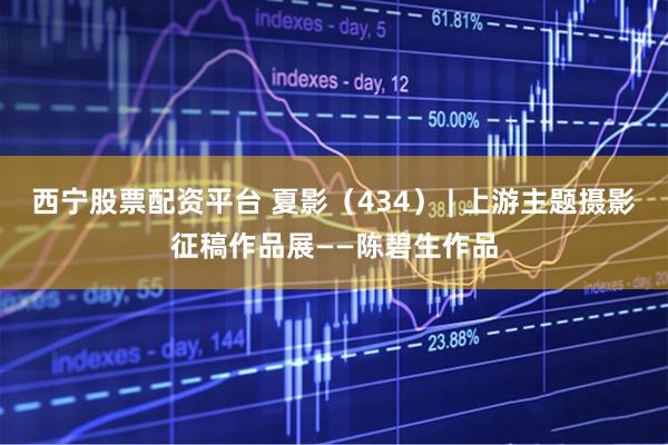 西宁股票配资平台 夏影（434） | 上游主题摄影征稿作品展——陈碧生作品