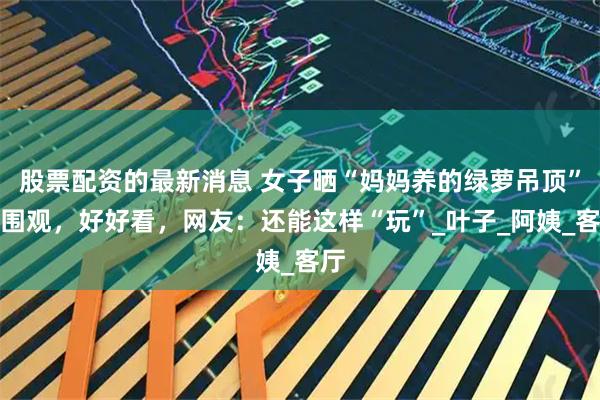 股票配资的最新消息 女子晒“妈妈养的绿萝吊顶”引围观，好好看，网友：还能这样“玩”_叶子_阿姨_客厅